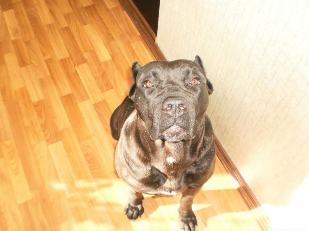 Сергій Колос | Киев