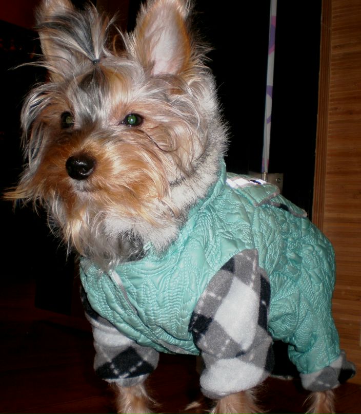 Анастасия Пыхтя | Мирноград / Димитров