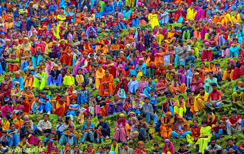 Хельга Helga | Киев