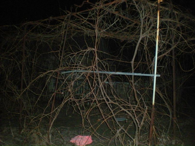 Дмитрий Петренко | Вентспилс