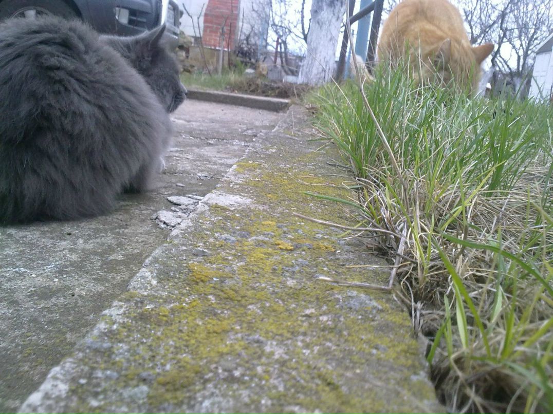 Максим Дешук | Одесса