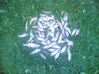 Андрей Гудков | Москва