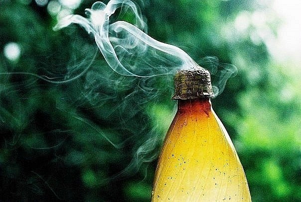 Крис Гутниченко | 