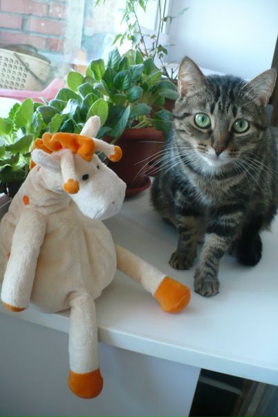 №135, Алиса Сюськова, 32 года, Санкт-Петербург, Россия №135, Алиса Сюськова, 32 года, Санкт-Петербург, Россия