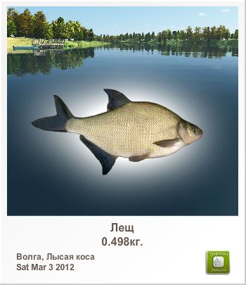 Ильшат Шакиров ***Син минеке - ... | Арск