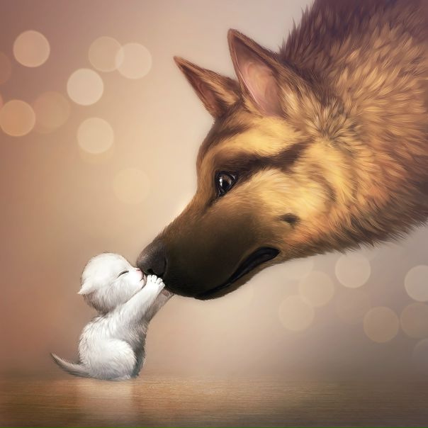 №14, Анастасия Малышева №14, Анастасия Малышева