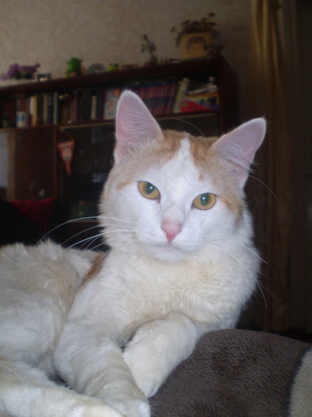 №19, Сергей Глушко, 30 лет, Симферополь №19, Сергей Глушко, 30 лет, Симферополь