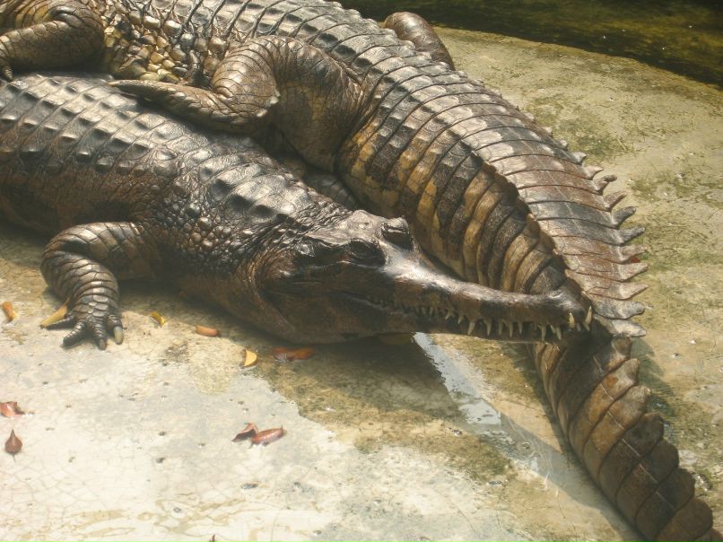 Алексей Маракин | Белгород