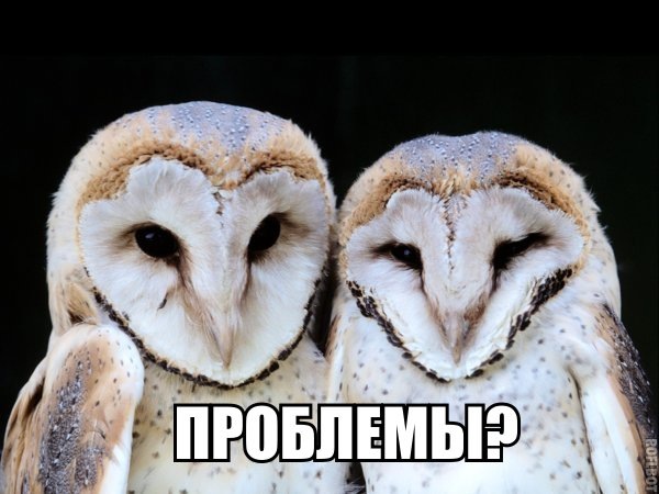 №3, Иван Пупупу, Москва №3, Иван Пупупу, Москва