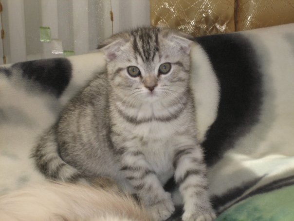 Алиночка Алина ✿ܓ✿ܓ✿ܓ | 