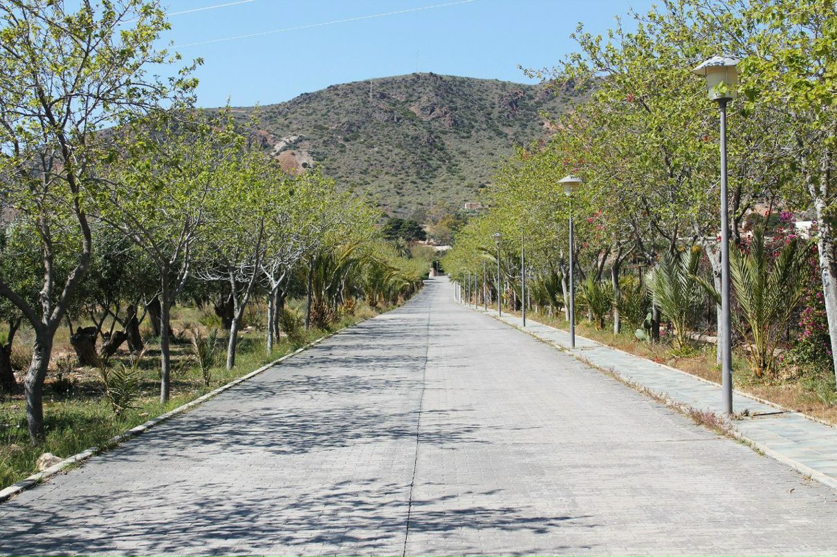 Светлана Турскова Валерьевна | Almería