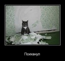 Фотография Козий Надежды