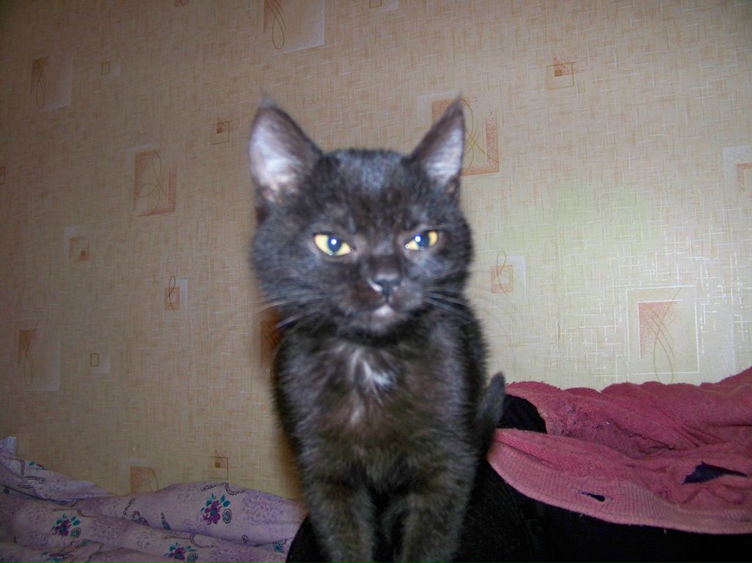 Анатолий Новобранец | Херсон