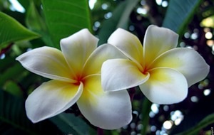 №1, Анастасия Конюхова №1, Анастасия Конюхова