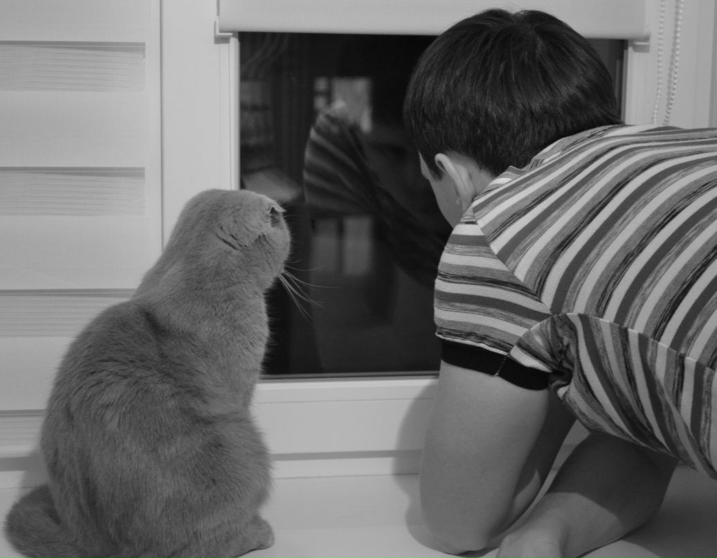 Алексей Шевченко | Тюмень