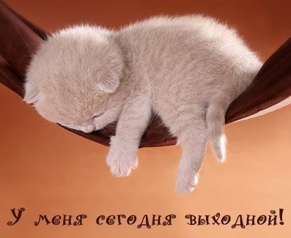 Юлечка Аксёненко | Днепр (Днепропетровск)