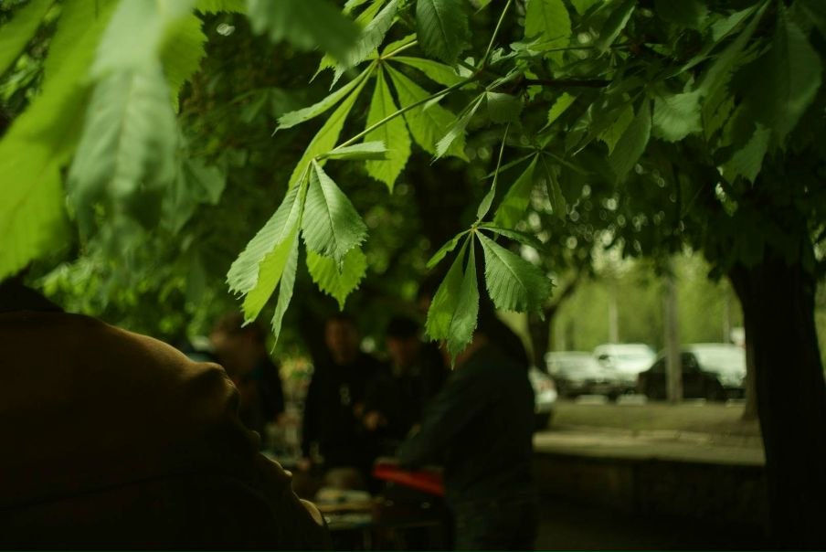 №16, Максим Юдин, Донецк №16, Максим Юдин, Донецк