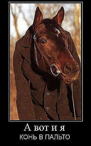 Виктор Ищенко | Сургут