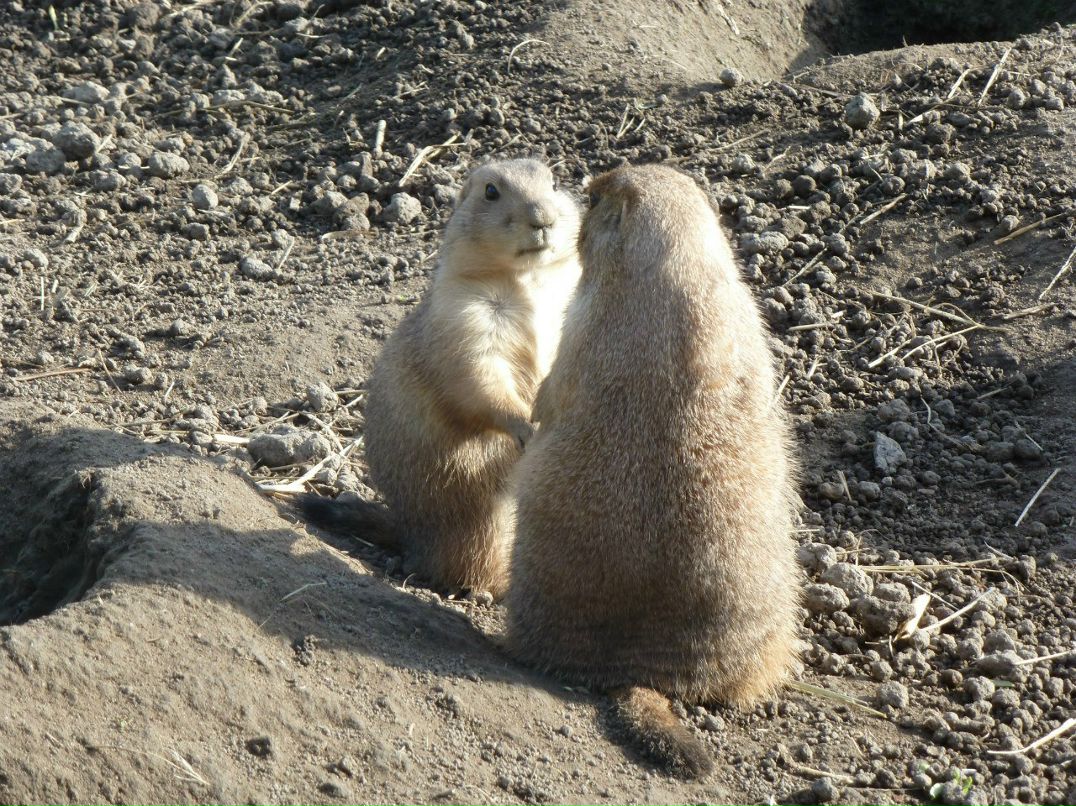 Наталья Мауритц | Санкт-Петербург