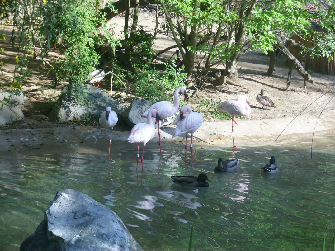 Alexandr Oseev | Magdeburg