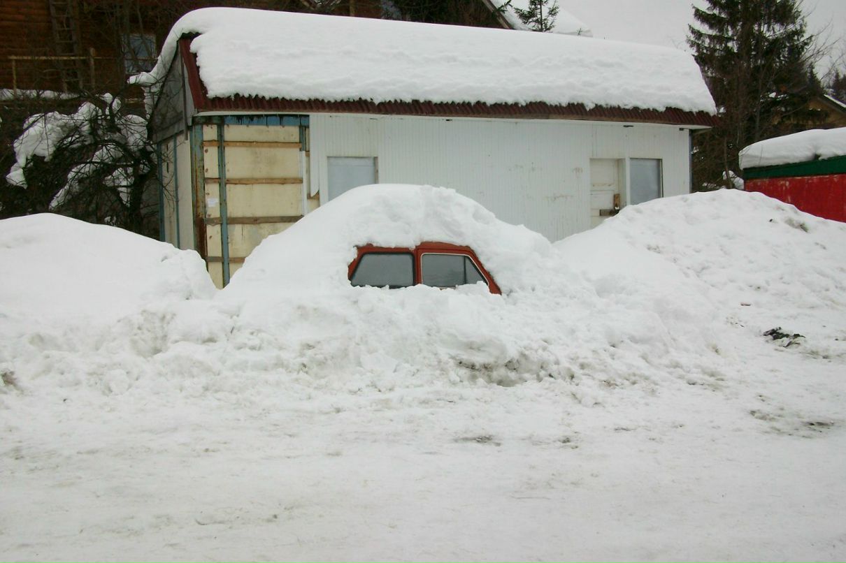 Светик Голицына *Squirrel* | Харьков