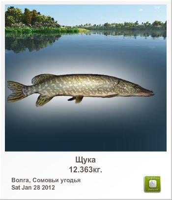 Павел Мигаль | Минск