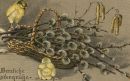 №40 Марина Шилина 13.07.1980: профиль, фото, статус - ВКонтакте