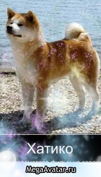 №87, Елена Еленушка, 56 лет, Каунас №87, Елена Еленушка, 56 лет, Каунас