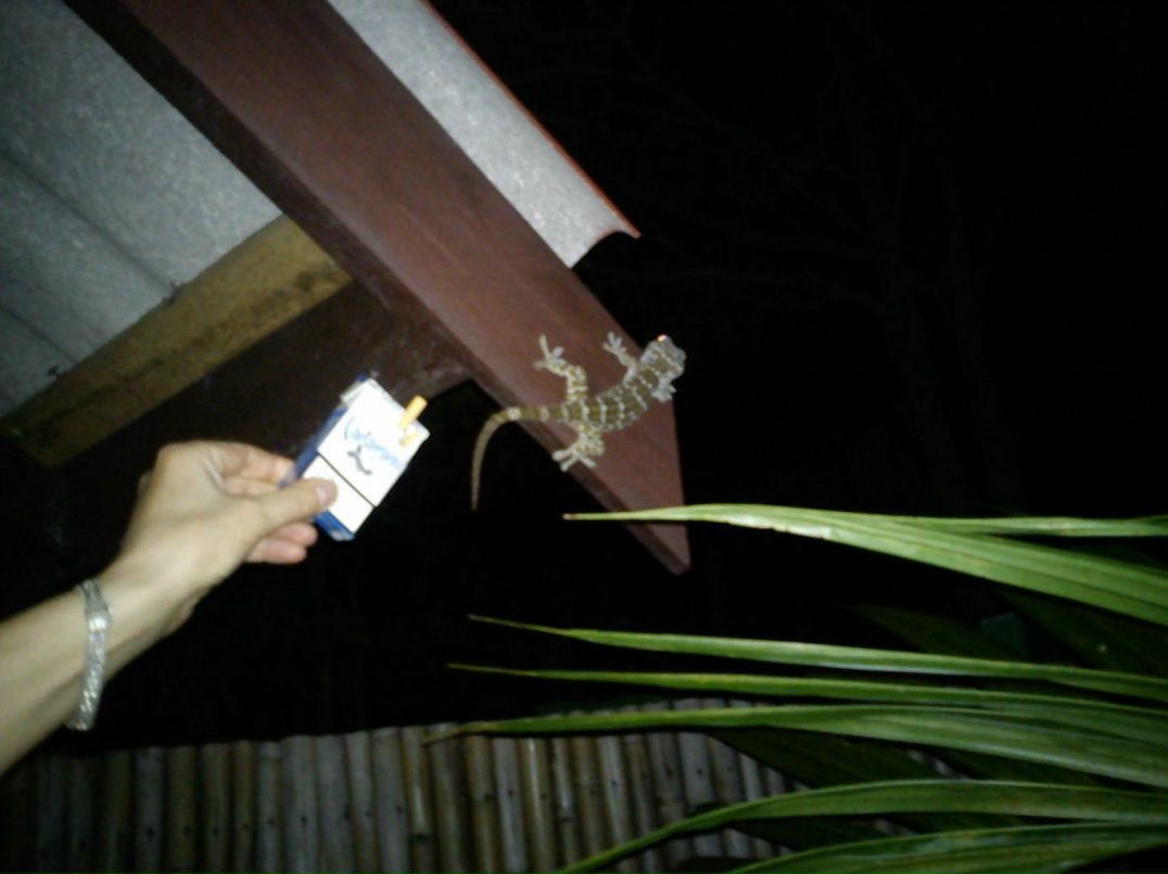 Елена Гранкина | Красногорск