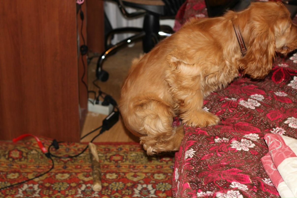 Екатерина Поплавская $reDISKOOOOO$ | Киев