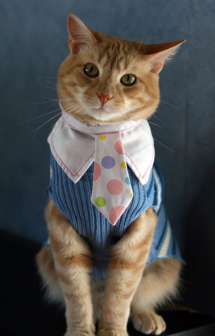 Владимир Демидов | Москва