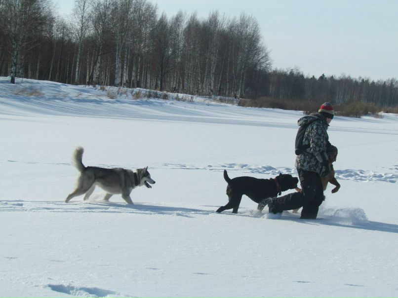 Алексей Пепеляев | Краснокамск