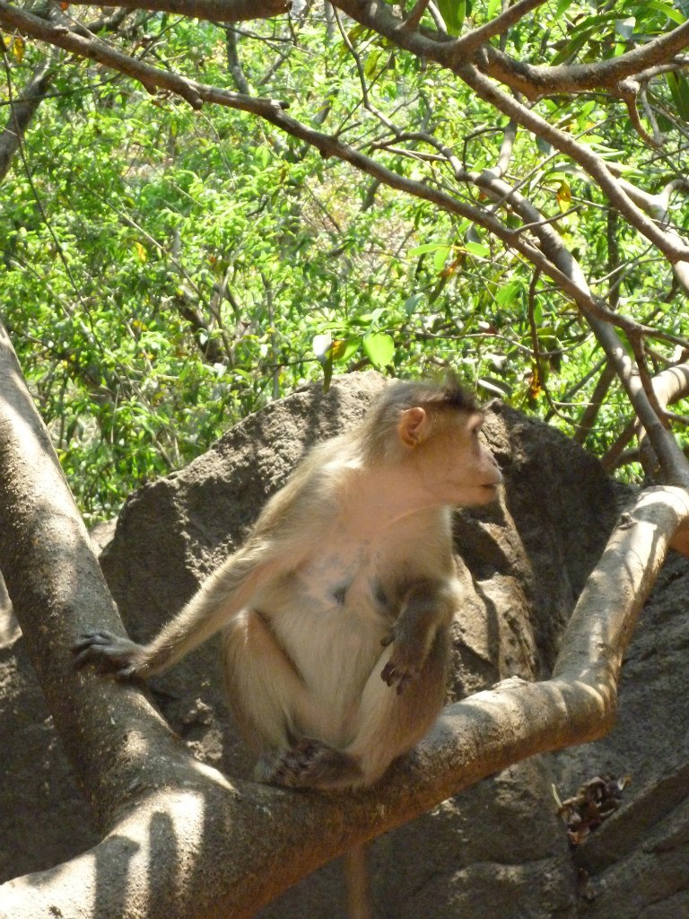 Юрий Антонов | Челябинск