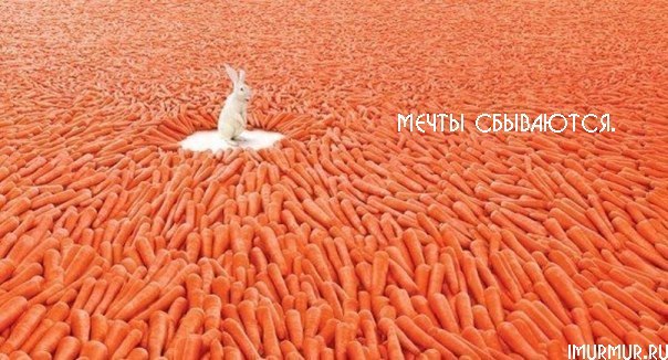 Мила Аниськина | Санкт-Петербург