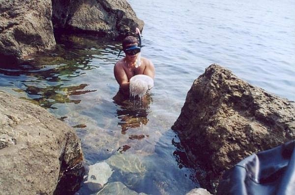 №10, Александр Денисенко, Киев №10, Александр Денисенко, Киев