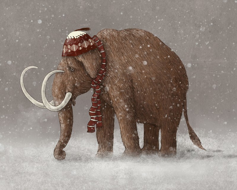 Дмитрий Ормели | 