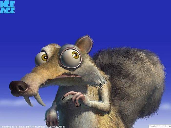 Дима Савинский | Санкт-Петербург