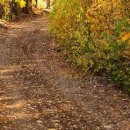 №28, Олег Водинов, Череповец №28, Олег Водинов, Череповец