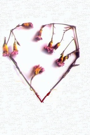 №21, Владимир Гусев №21, Владимир Гусев