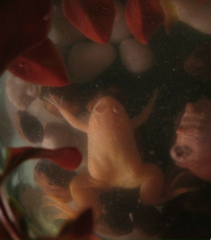 Сергей Левобережный | Санкт-Петербург