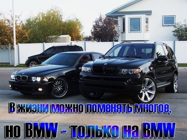 Ігор Олійник | 