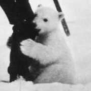 Михаил Наконечный | Минск