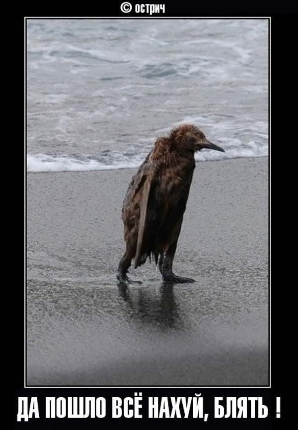 Вадим Савостин | Абакан