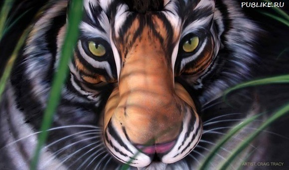 №13, Самер Альрифаи, Днепр (Днепропетровск) №13, Самер Альрифаи, Днепр (Днепропетровск)