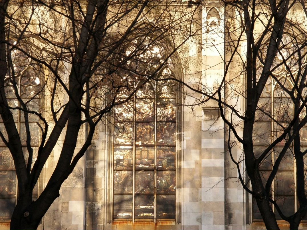 Сергей Симонов | Санкт-Петербург