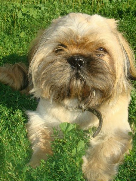 №30, Соня Архипова, Белая Церковь №30, Соня Архипова, Белая Церковь