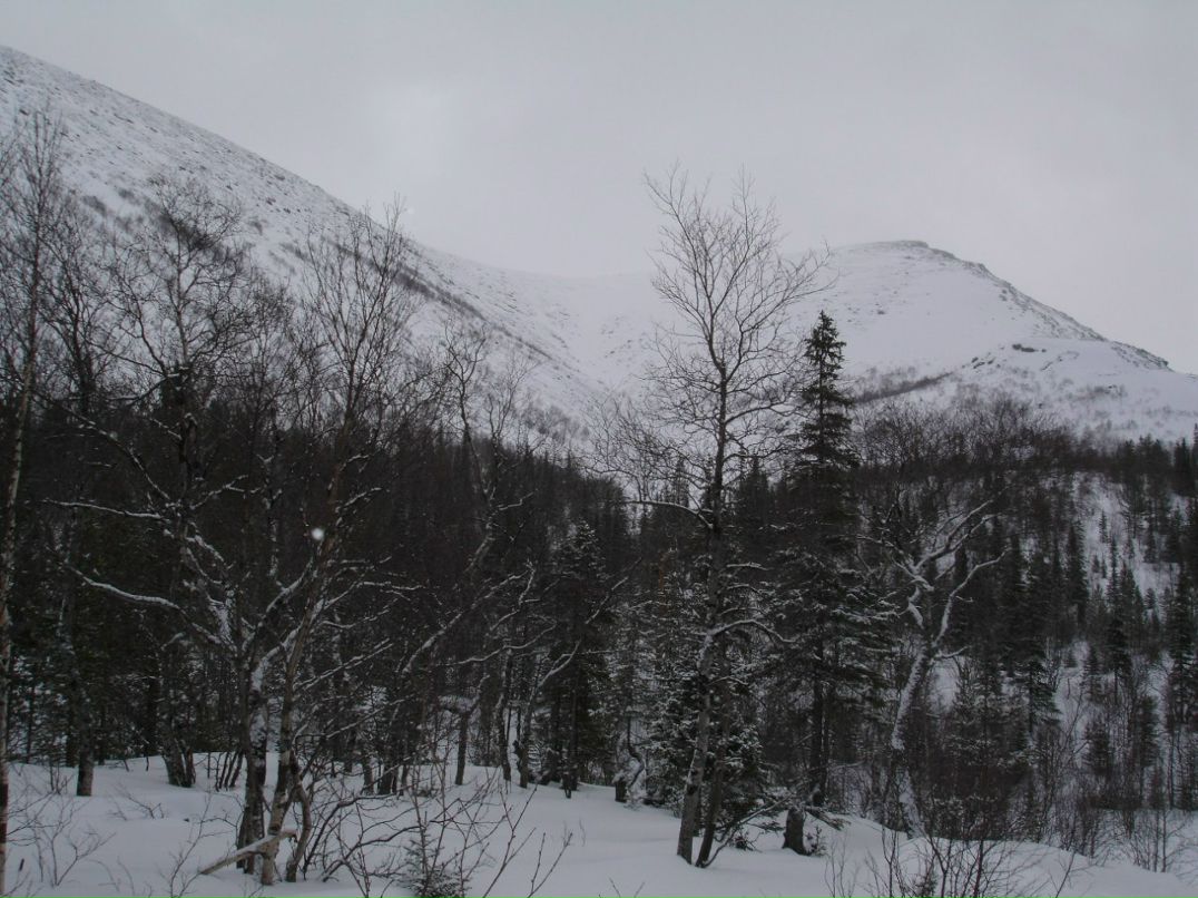 Демьян Лесик | Санкт-Петербург