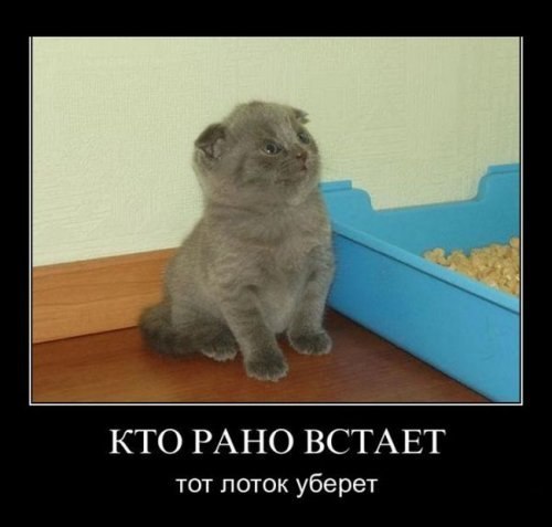 Zinulya Stoletneva | Москва