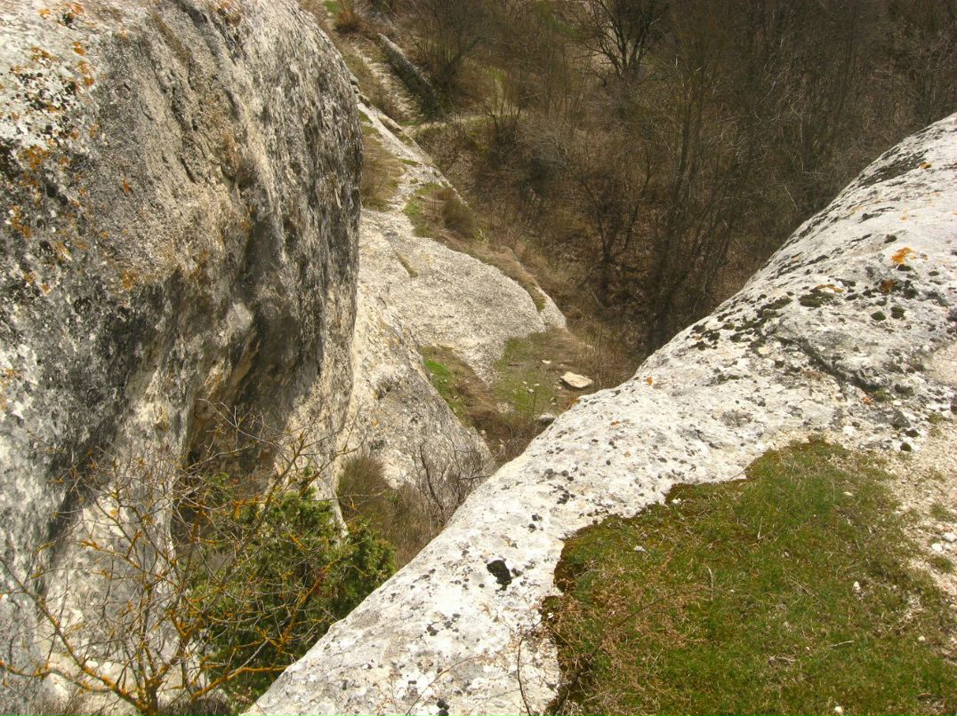 Віктор Мацеха Вікторович | Львов
