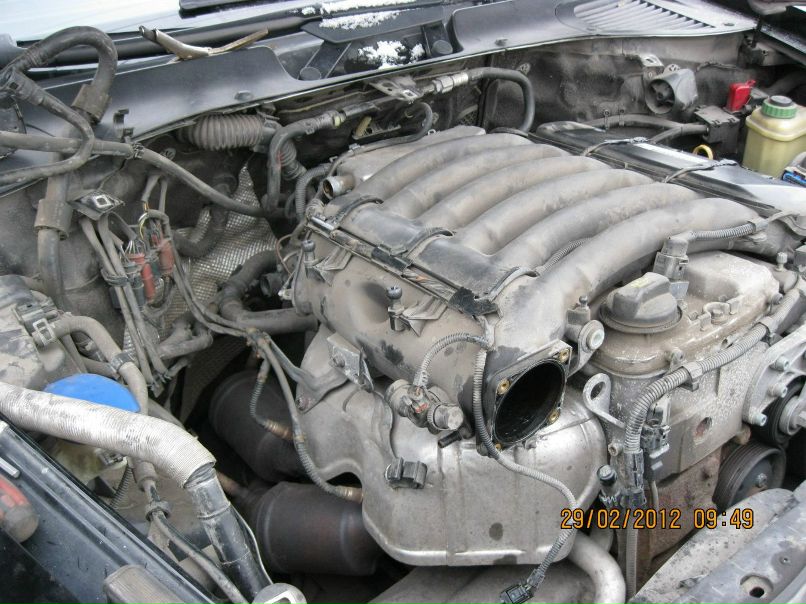 Сергей Вильманов | Санкт-Петербург